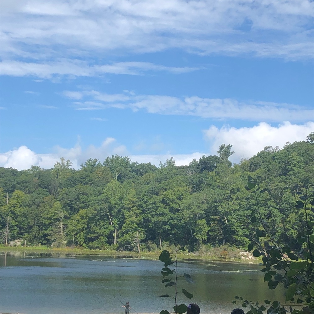 Meet your Posher, Silvia